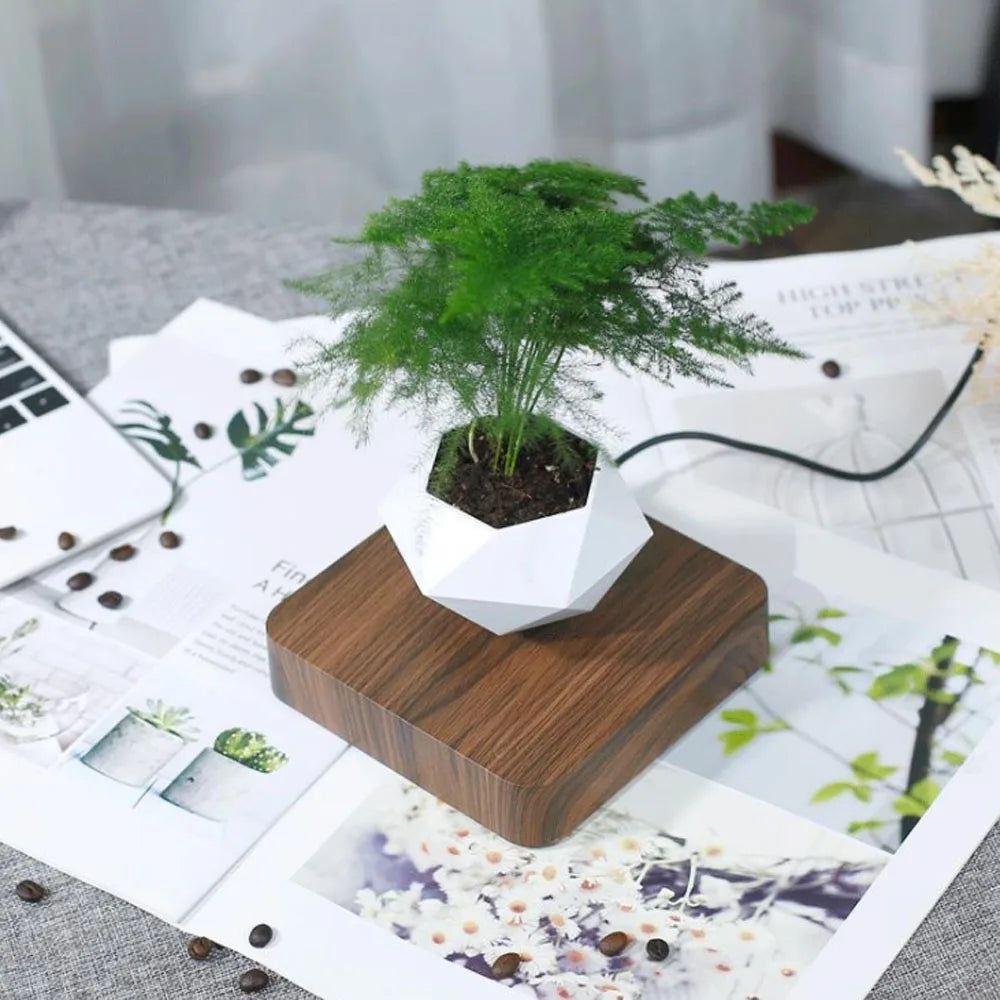 LEVITATION FLOATING BONSAI POT - MAGNETIC SUSPENSION PLANTER