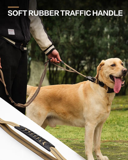 BarkSafe Bungee Leash with Car Seatbelt