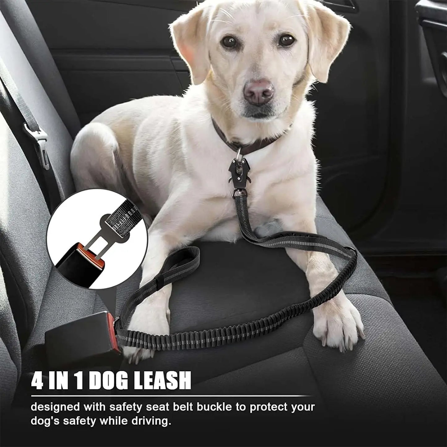 BarkSafe Bungee Leash with Car Seatbelt